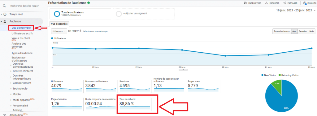 Vue d'ensemble de l'audience sur Google Analytics
