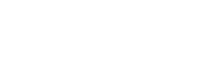 stere-business-intelligence